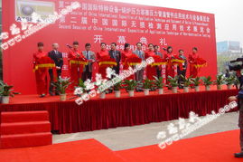 婚庆与庆典礼仪 缔造完美时刻的艺术